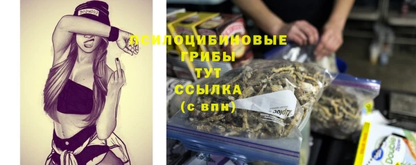 тгк Волоколамск