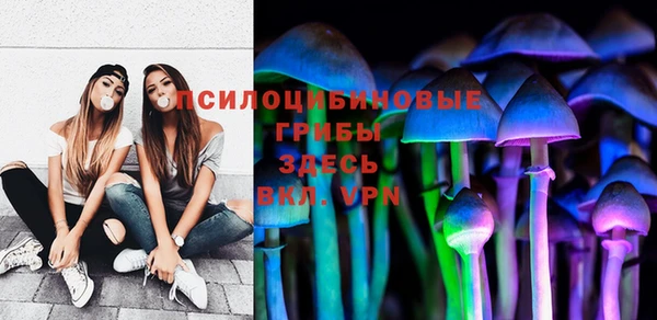 молекула духа Володарск