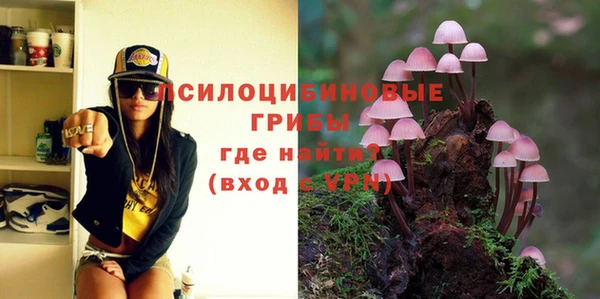 молекула духа Володарск