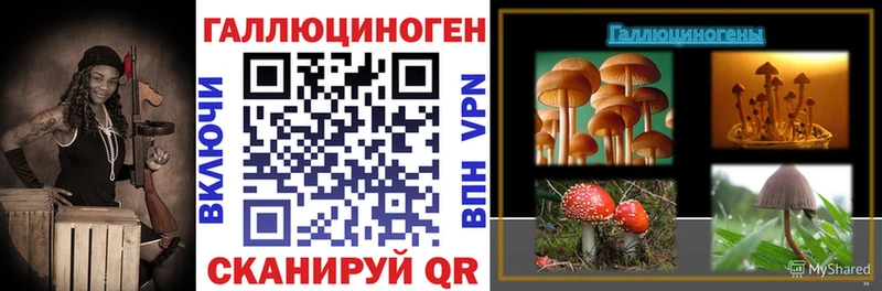 Псилоцибиновые грибы ЛСД  MEGA зеркало  Гай 