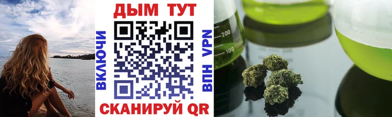 Канабис индика  как найти наркотики  Гай 